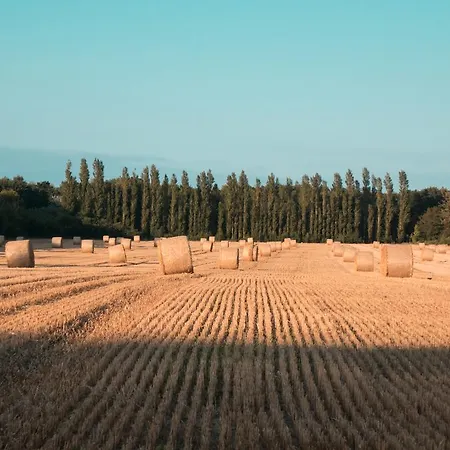 Elmenhorst Гостевой дом Эльменхорст